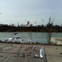  ,  -  27  2018    
