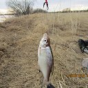 ���� ��������, �����������, 41 ��� - ��������� 23 ��� 2018 � ������ ������ ��������