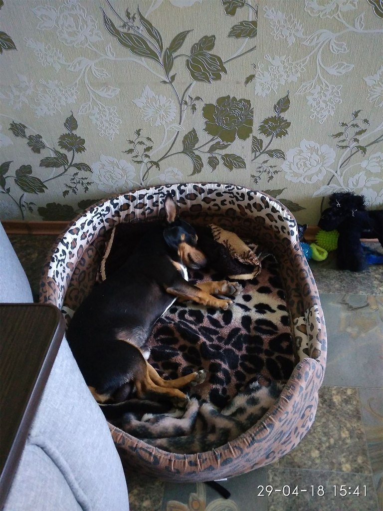 , 4 .   
