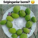 ���� �������, ������, 35 ��� - ��������� 25 ������ 2018 � ������ ���� ����������