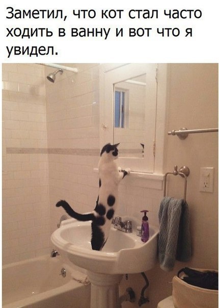    - 4  2018  03:33