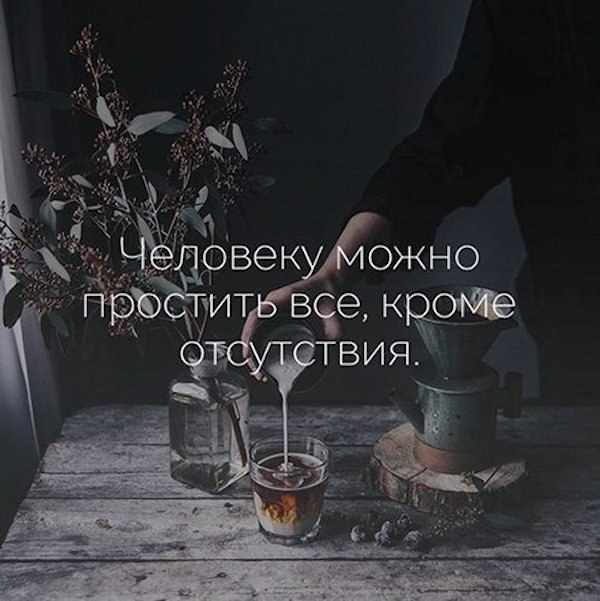  |   - 3  2017  03:33