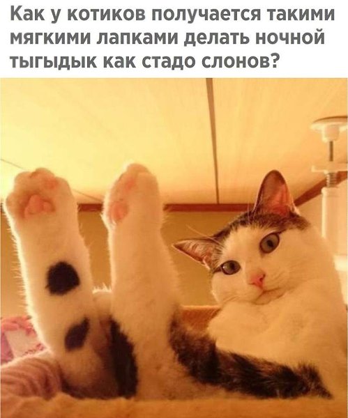 )))