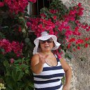 ���� ����, ������� - ��������� 26 ������� 2017 � ������ ���� ����������