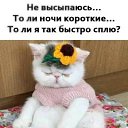 ���� �������, ����������� - ��������� 14 ��� 2018 � ������ ���� ����������