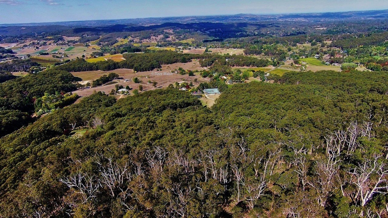   (Mount Lofty Botanical Gardens, South Australia) - 3