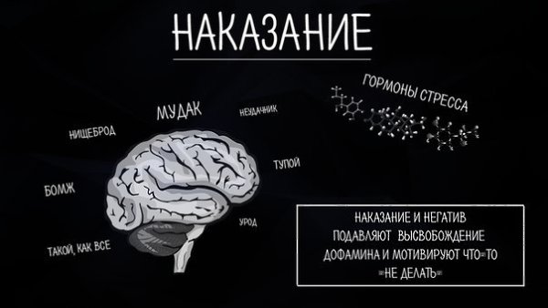 ��������� ���� - 5