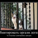 ���� ����, �����-��������� - ��������� 12 ���� 2018