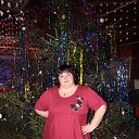 ���� �����, ������ - ��������� 8 ������ 2018 � ������ ���� ����������