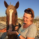 ���� ���������, �����-��������� - ��������� 2 ������� 2017 � ������ ���� ����������