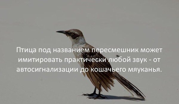   :    - 11  2018  03:45