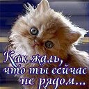 ���� Walera, �������� - ��������� 12 ���� 2018 � ������ ������ ��������