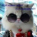 ���� �����, �������, 36 ��� - ��������� 15 ������ 2018 � ������ ���� ����������