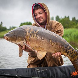 ����, ������, 46 ���