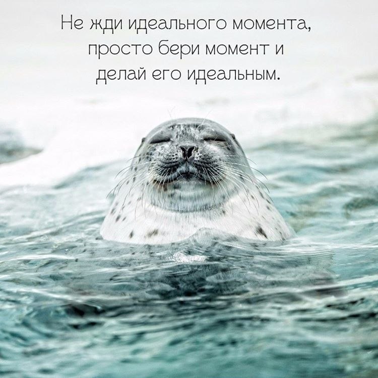  ! - 18  2018  02:58