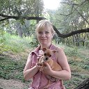 ���� ����, �������, 54 ���� - ��������� 22 ������ 2017 � ������ ���� ����������