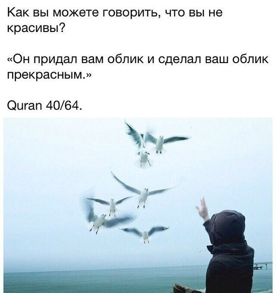  - 17  2018  04:14
