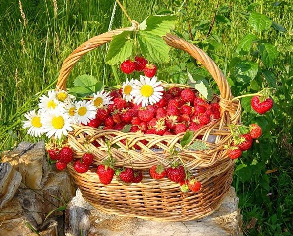   ....   .... "     ...