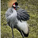 ���� Bela Belenko, ��������� - ��������� 4 ������ 2018 � ������ ���� ����������