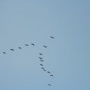 ���� ������, ������-��-����, 46 ��� - ��������� 9 ������ 2018 � ������ ������ ��������