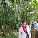 ���� �������, ������, 57 ��� - ��������� 20 ���� 2018 � ������ ���� ����������