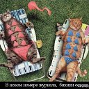 ���� ������, ����� - ��������� 29 ���� 2018 � ������ ���� ����������