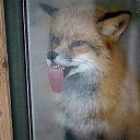 ���� Serg, ����-���, 57 ��� - ��������� 4 ���� 2018 � ������ ������ ��������