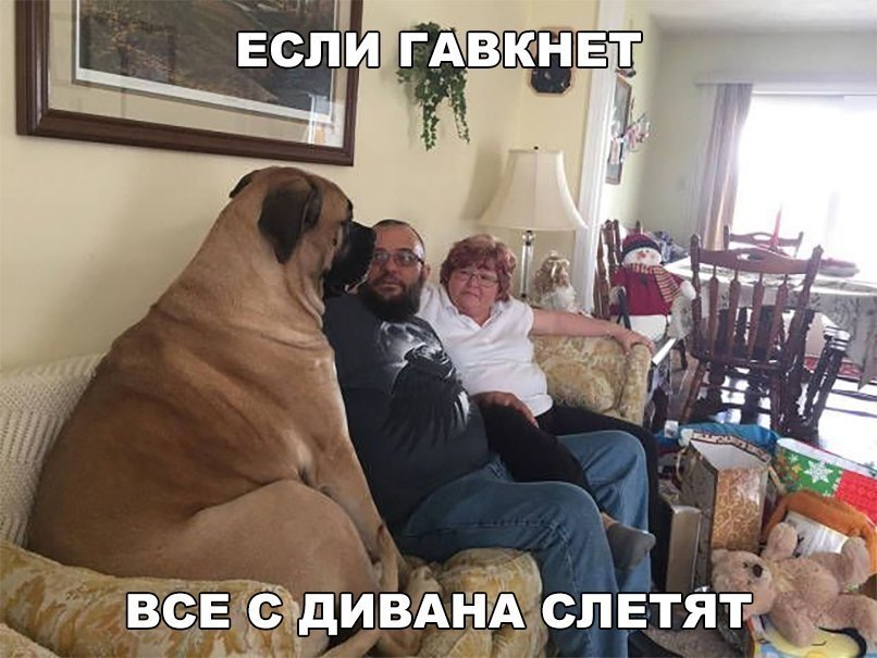    :D - 18  2018  03:35