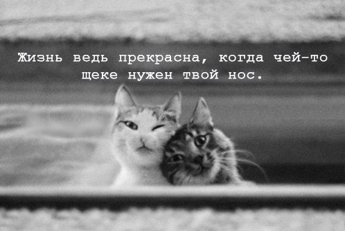  -  ,  -  - 12  2018  02:54