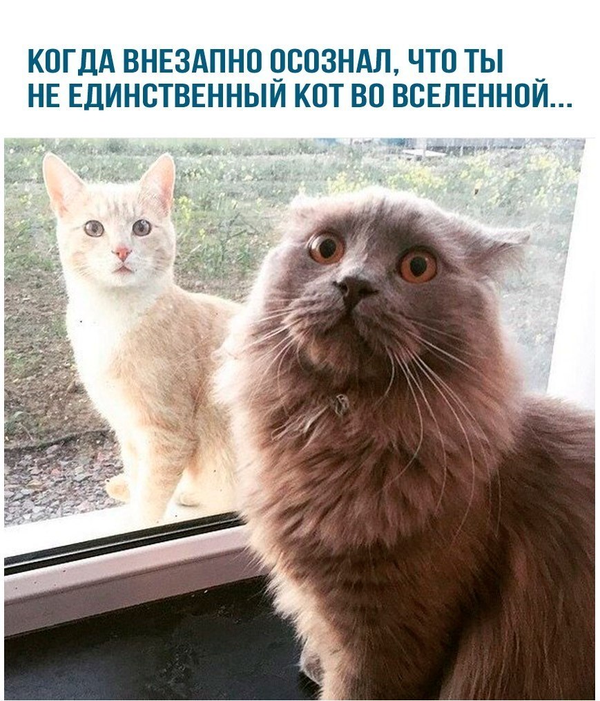 LIFE -  - 28  2018  02:51