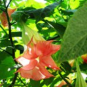 ���� ������, ����, 70 ��� - ��������� 30 ������ 2017 � ������ ��������