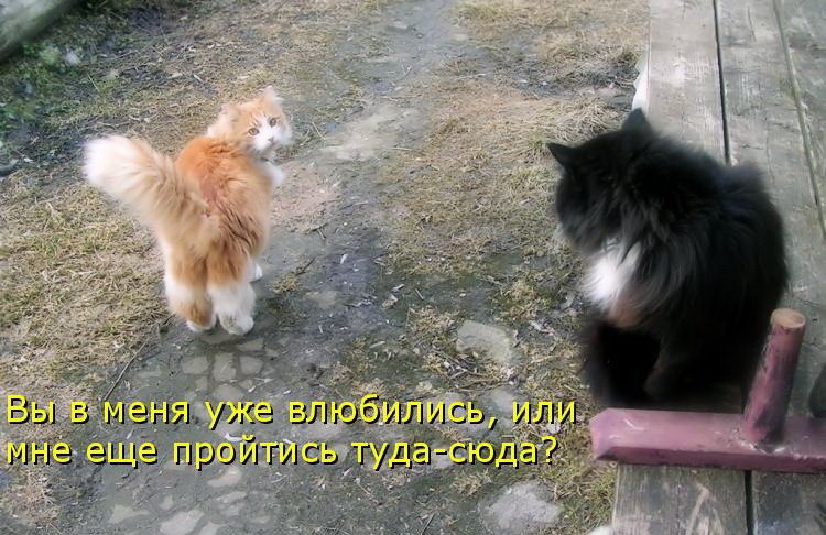   :3 - 28  2018  16:14