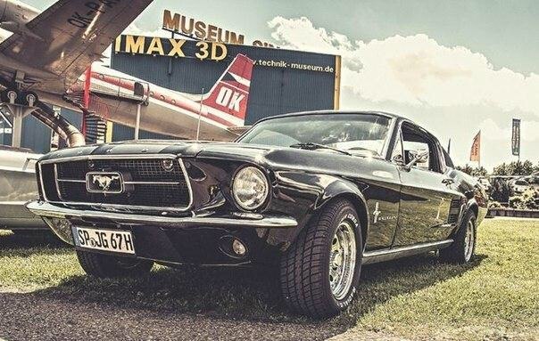 Mustangs - 7