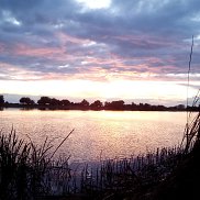 ����, 43 ����, ������