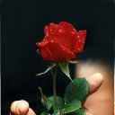 ���� Anatolie, ������������, 43 ���� - ��������� 25 ������ 2018