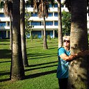 ���� �������, �������-����������, 53 ���� - ��������� 1 ����� 2018 � ������ ���� ����������