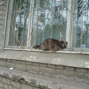 Фото Оскар, Санкт-Петербург, 56 лет - добавлено 6 декабря 2017