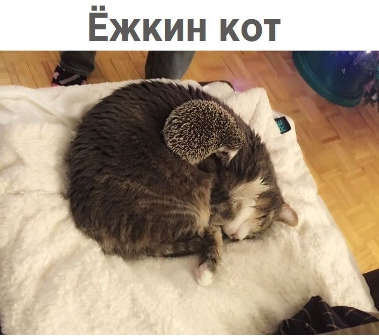  - 10  2018  02:59