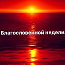             ;     ,      . . (  28 : 8 )...    