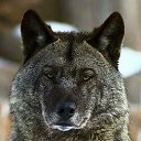 ���� Aleksandr, ����������, 51 ��� - ��������� 26 ������ 2018