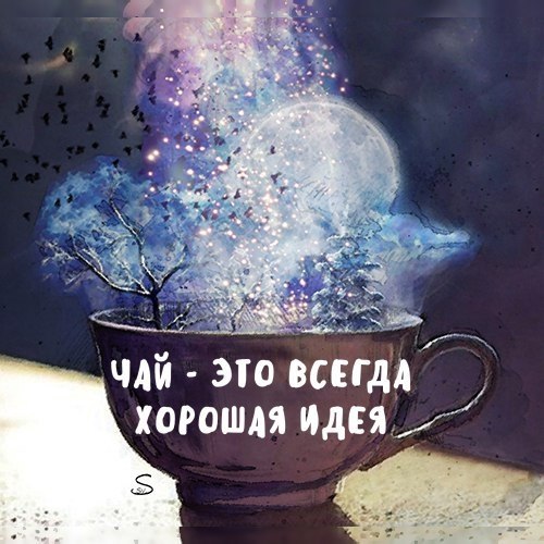 E s t h e t i q u e - 15  2017  03:43