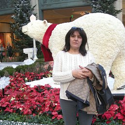 Amada, ������, 60 ���