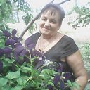 ���� ������, �������� - ��������� 20 ������ 2017 � ������ ���� ����������