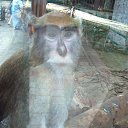 ���� ���������, ���������, 50 ��� - ��������� 9 ������ 2018 � ������ ���� ����������