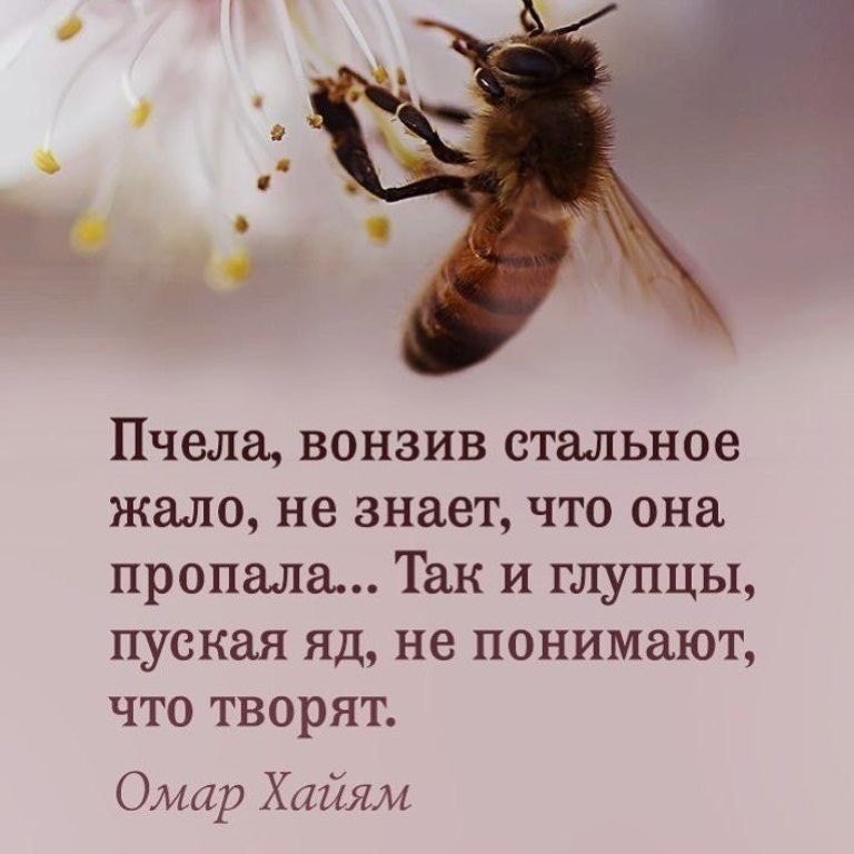  - 1  2018  02:36