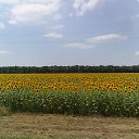 ���� �������, ������, 57 ��� - ��������� 10 ������� 2017 � ������ ���� ����������