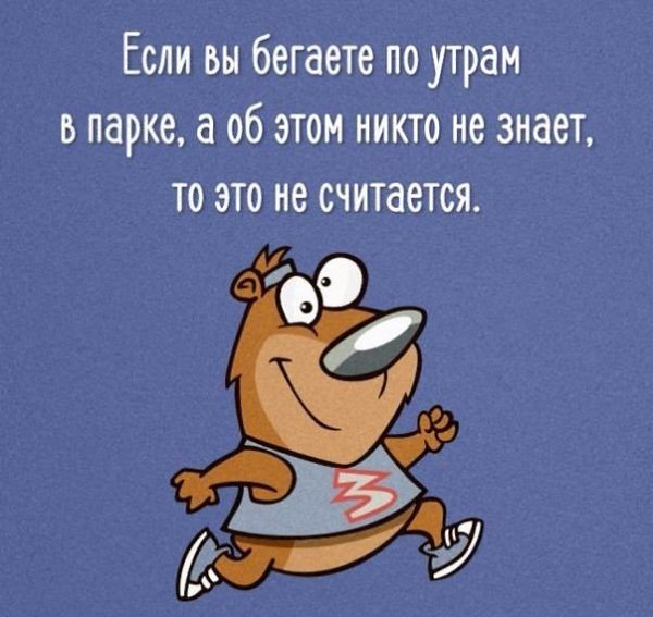 SportFeed - 28  2018  03:44