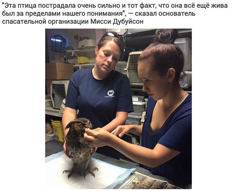    ,   ,    