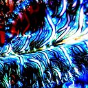  ,  -  13  2017        »