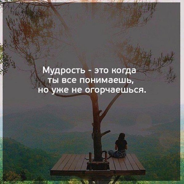    - 20  2017  03:41